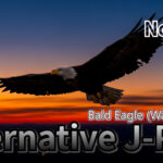 Alternative J-POP, Lo-Fi J-POP, emotional jpop artwork, Noctia Bald Eagle Washinosora cover, winter jpop visual, AI music japan pop art, kotetsu co ltd